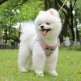 Load image into Gallery viewer, The New Dog Leash Reflective Strips Go Out At Night