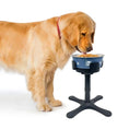 Load image into Gallery viewer, Adjustable Elevated Dog Food Bowls Stand Anti Slip Stability Pet Bowl Holder For Medium And Large Pets Pet Water Food Bowl