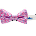 Load image into Gallery viewer, Cutie Ties Dog Bow Tie