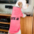 Load image into Gallery viewer, The Everyday Hoodie - CUTE AF