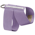 Load image into Gallery viewer, Susan Lanci Designs 3 Row Giltmore Crystals Tinkie Harness