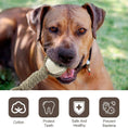 Load image into Gallery viewer, Pet Dog Toys For Large Small Dogs Toy Interactive Cotton Rope Mini Dog Toys Ball For Dogs Accessories Toothbrush Chew Premium Cotton-Poly Tug Toy For Dogs Interactive Rope Dog Toy For Medium Dogs