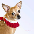 Load image into Gallery viewer, Pearl Neck Ruff