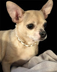 Load image into Gallery viewer, Leatherorzo Collar