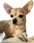 Load image into Gallery viewer, Leatherorzo Collar