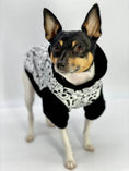 Load image into Gallery viewer, DCNY: Iconic "Pup Art" Designer Dog Hoodie