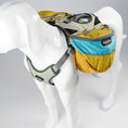 Load image into Gallery viewer, Adventurer EZ Latch Dog Pack (2-piece)