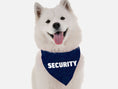 Load image into Gallery viewer, Security