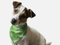Load image into Gallery viewer, Kelly Green Paisley