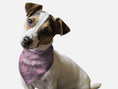 Load image into Gallery viewer, Lilac Paisley