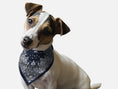 Load image into Gallery viewer, Navy Paisley