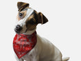 Load image into Gallery viewer, Red Paisley