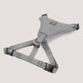Load image into Gallery viewer, NANDOG Neoprene Sport Dog Harness