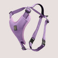 Load image into Gallery viewer, NANDOG Neoprene Sport Dog Harness