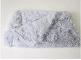 Load image into Gallery viewer, Pet Dog Cat Blankets