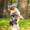 Load image into Gallery viewer, Interactive Treat Dispensing Dog Toys Different Functions Interactive Dog Puzzle Toys Balls For Medium Large Dogs  Dog Treat Toys Dog Puzzle Toys Durable Rubber Dog Chew Toys