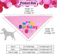 Load image into Gallery viewer, Dog Birthday Party Supplies Boy Girl Dog Birthday Hat With Numbers Dog Puppy Birthday Bandana Hat Bow  Puppy Birthday Hat