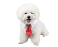 Load image into Gallery viewer, Pet bow tie tie child baby tie cartoon print small tie spot wholesale dog tie