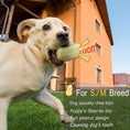 Load image into Gallery viewer, Funny Pet Dog Squeaky Toys For Small Middle Dogs Bite Resistant Puppy Cat Dogs Toys Pets Rubber Peanut Clean Tooth Chew Toy