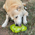 Load image into Gallery viewer, Water Frog Design eTray Enrichment Tray for Dogs