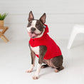 Load image into Gallery viewer, GF Pet Elasto-Fit Urban Dog Hoodie