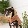 Load image into Gallery viewer, GF Pet ElastoFit Urban Dog Parka