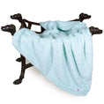 Load image into Gallery viewer, Paris Dog Blanket