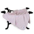 Load image into Gallery viewer, Paris Dog Blanket