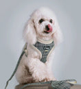 Load image into Gallery viewer, Puppy dog leash