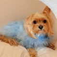 Load image into Gallery viewer, Pet Autumn And Winter Round Neck Sweater