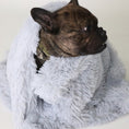 Load image into Gallery viewer, Pet Dog Cat Blankets