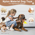 Load image into Gallery viewer, Tough Dog Toys For Aggressive Chewers Large Breed Indestructible Dog Toys Durable Dog Chew Toys For Large Dogs Bacon Flavor Dog Chew Toys For Aggressive Chewers Durable Large Dog Toys For Big Dogs