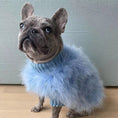 Load image into Gallery viewer, Pet Autumn And Winter Round Neck Sweater