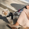 Load image into Gallery viewer, Susan Lanci Designs Plain Leash
