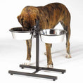 Load image into Gallery viewer, ProSelect Adjustable Diner with/Bowls 160oz

