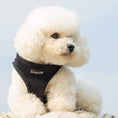 Load image into Gallery viewer, Mr. Peanut's PupTrek Small Dog/Cat Soft Mesh Step In Harness Vest

