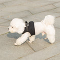 Load image into Gallery viewer, Mr. Peanut's PupTrek Small Dog/Cat Soft Mesh Step In Harness Vest
