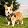 Load image into Gallery viewer, Mr. Peanut's PupTrek Small Dog/Cat Soft Mesh Step In Harness Vest

