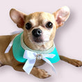 Load image into Gallery viewer, Sniffany Blue Neck Collar- Dog Neck Collar
