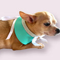 Load image into Gallery viewer, Sniffany Blue Neck Collar- Dog Neck Collar
