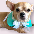 Load image into Gallery viewer, Sniffany Blue Neck Collar- Dog Neck Collar
